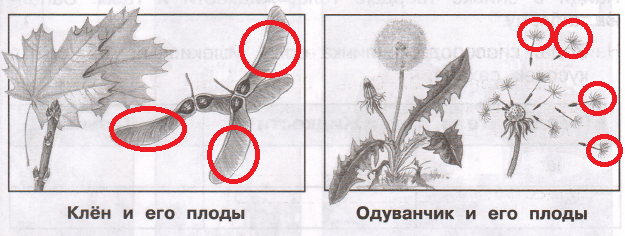 Решение рисунок 1